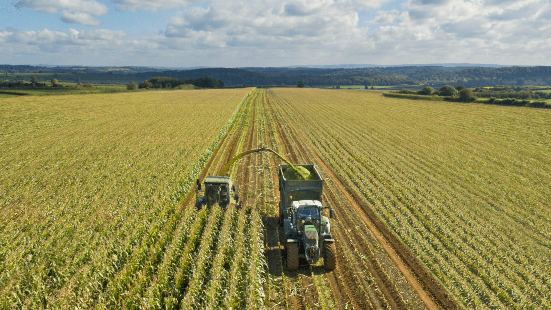 farming harvesting